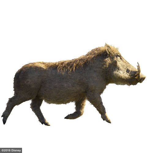 boar.gif