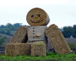 bob.webp