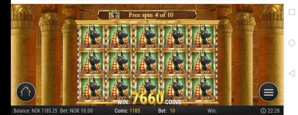 117423