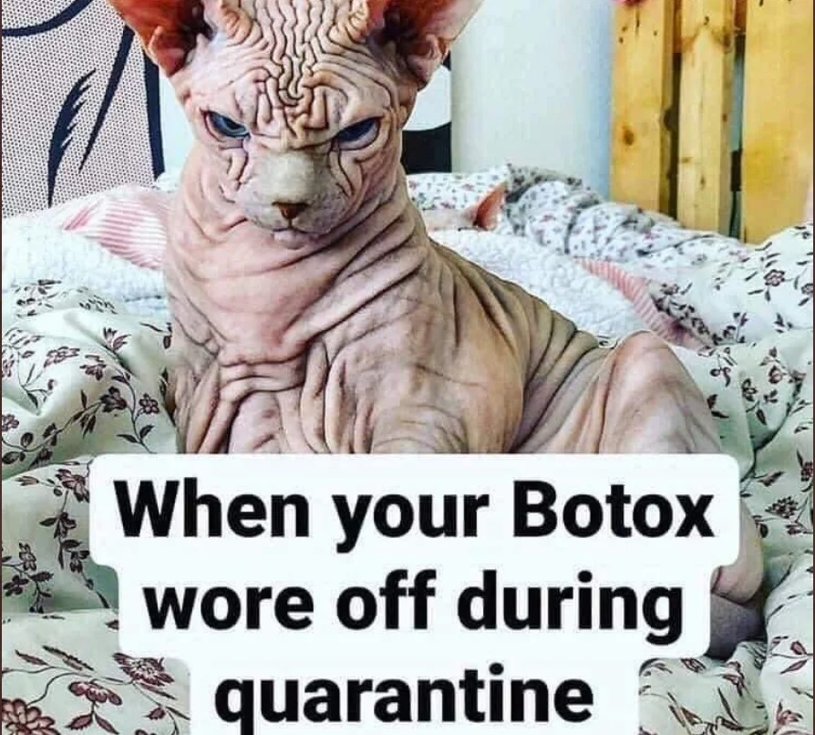 botox.webp
