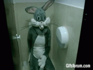 buddy.gif