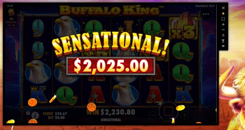 buffalo.webp