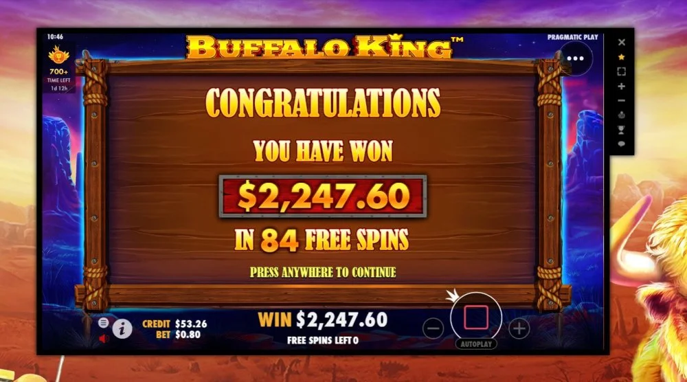 buffalo2.webp