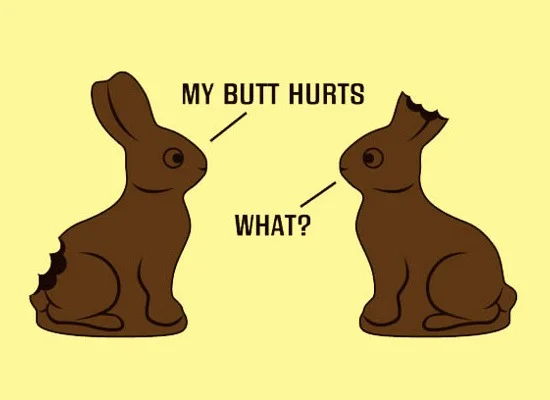bunnies.webp