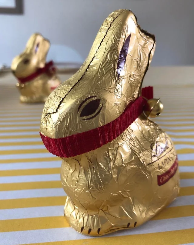 bunny.webp