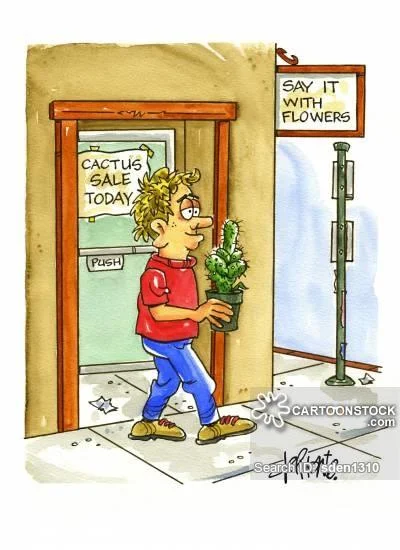 cactus.webp