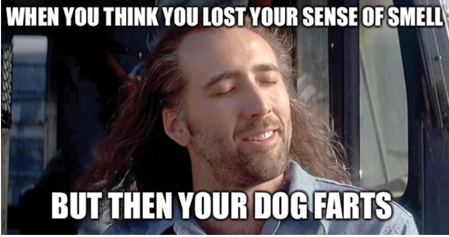cage.webp