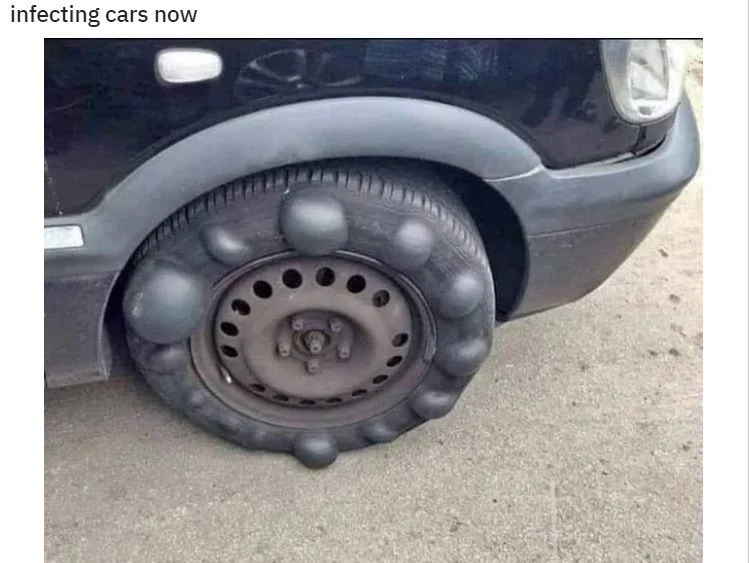 carazy.webp