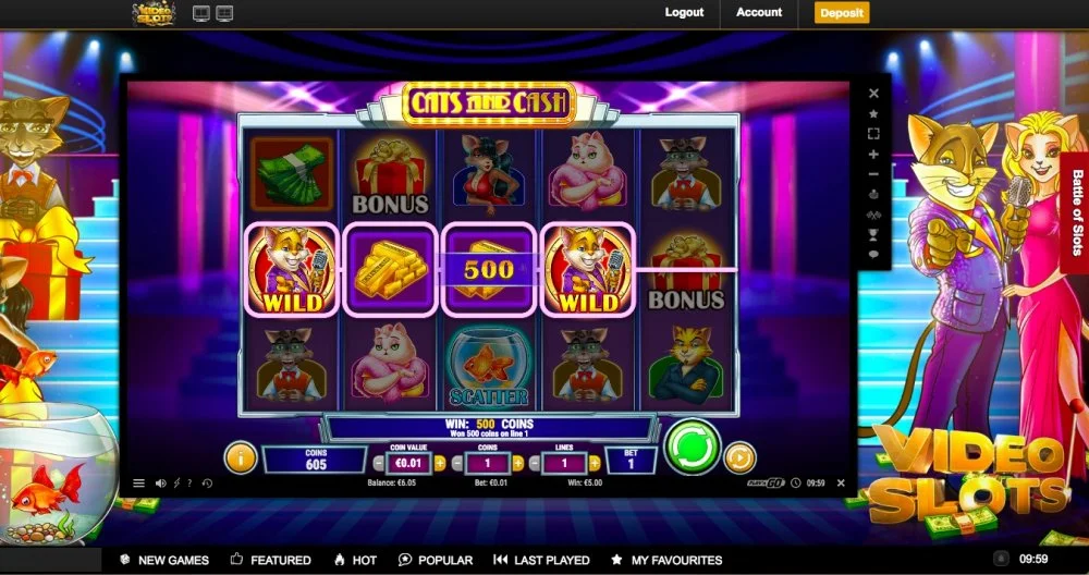 cats and cash.webp