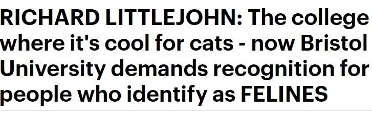 cat's unbelievable.webp