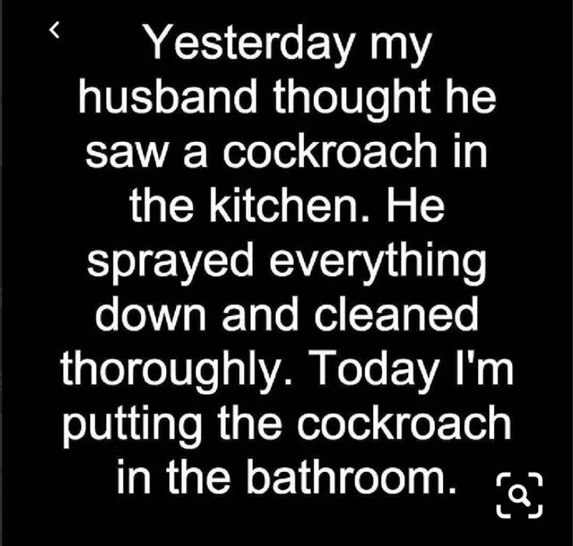 cock.webp