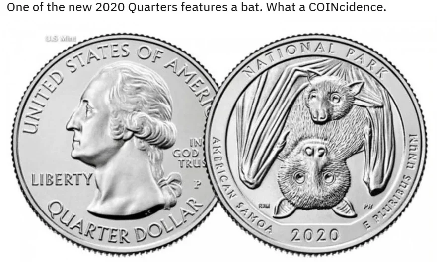 coin.webp