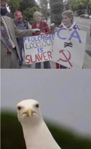 commie fun.webp