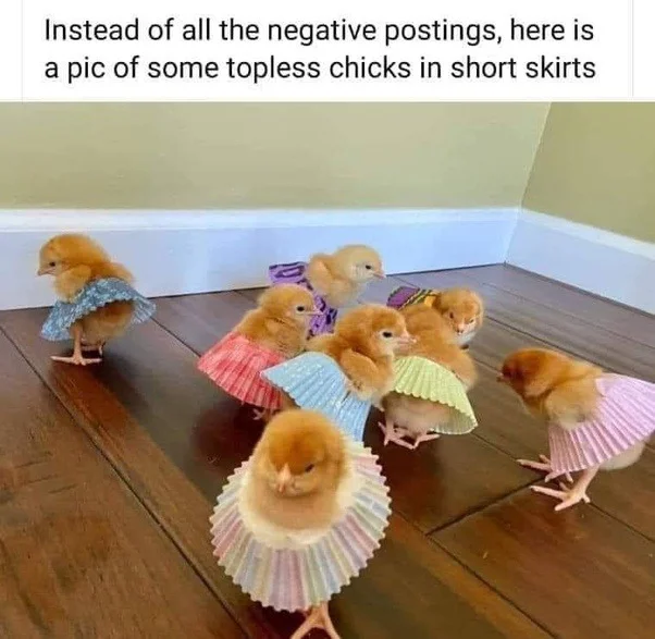 Corona chicks.webp