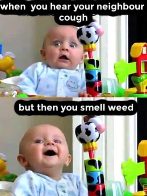 coughy.webp