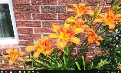 desk.webp