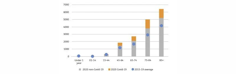 discover_mortality-stats_new_1600x500px.webp
