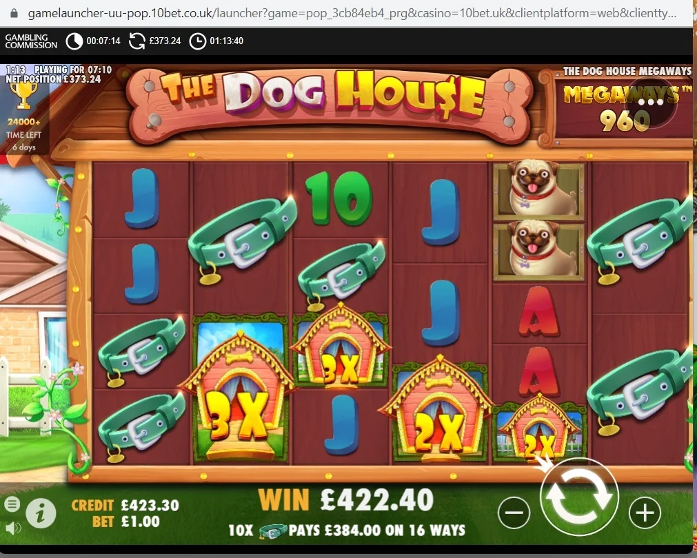 dog.webp