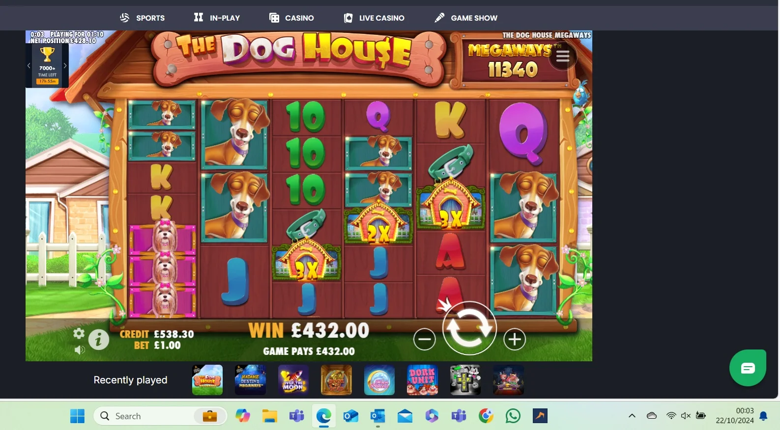 dog.webp