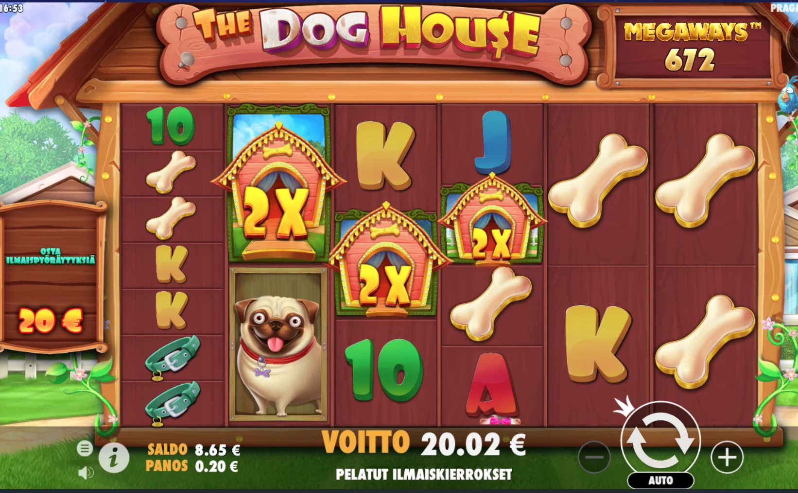 doghouse100x_2610.png