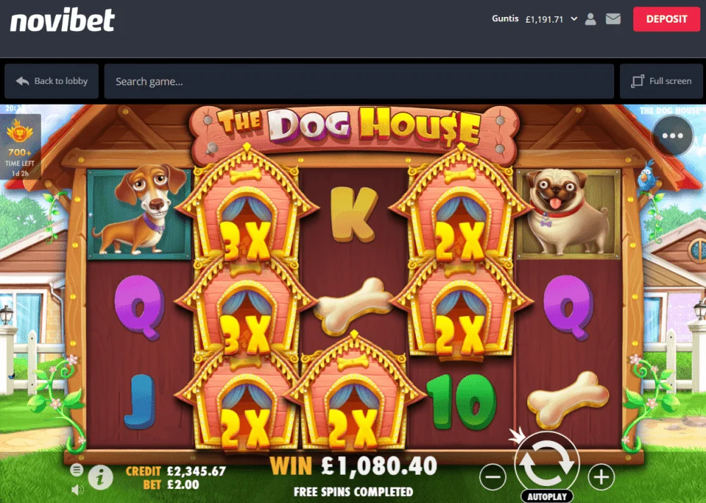 dogs.webp