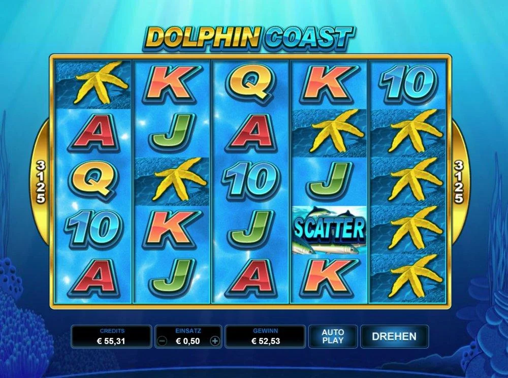 DolphinCoast.webp
