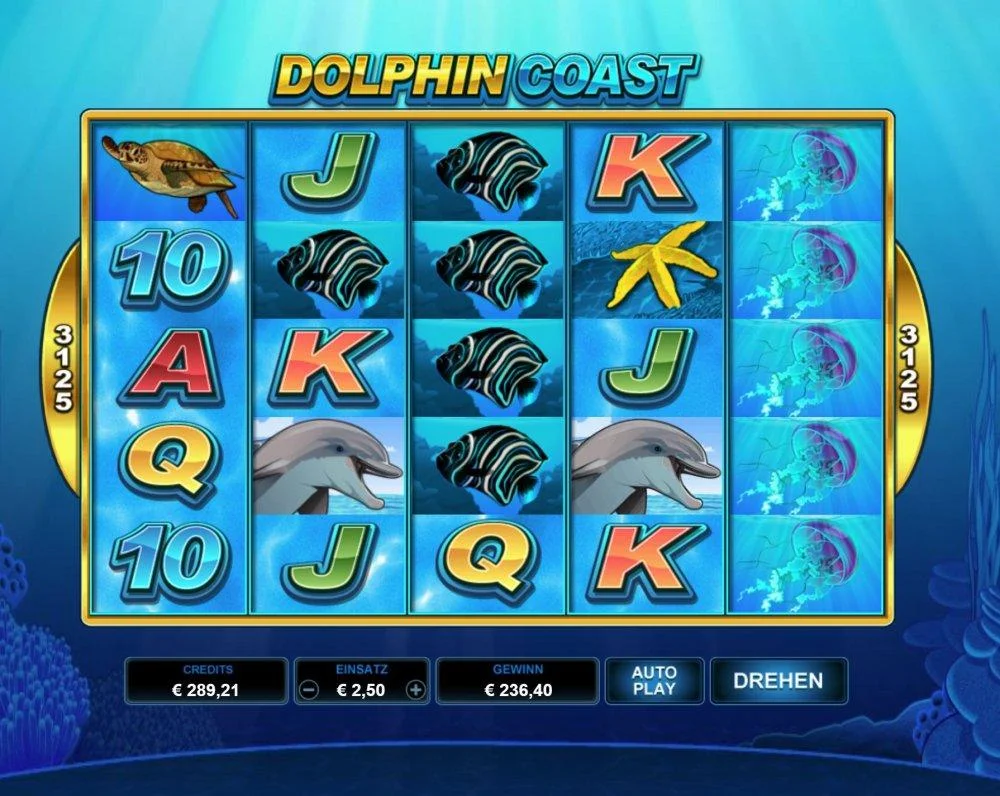 DolphinCoast2.webp