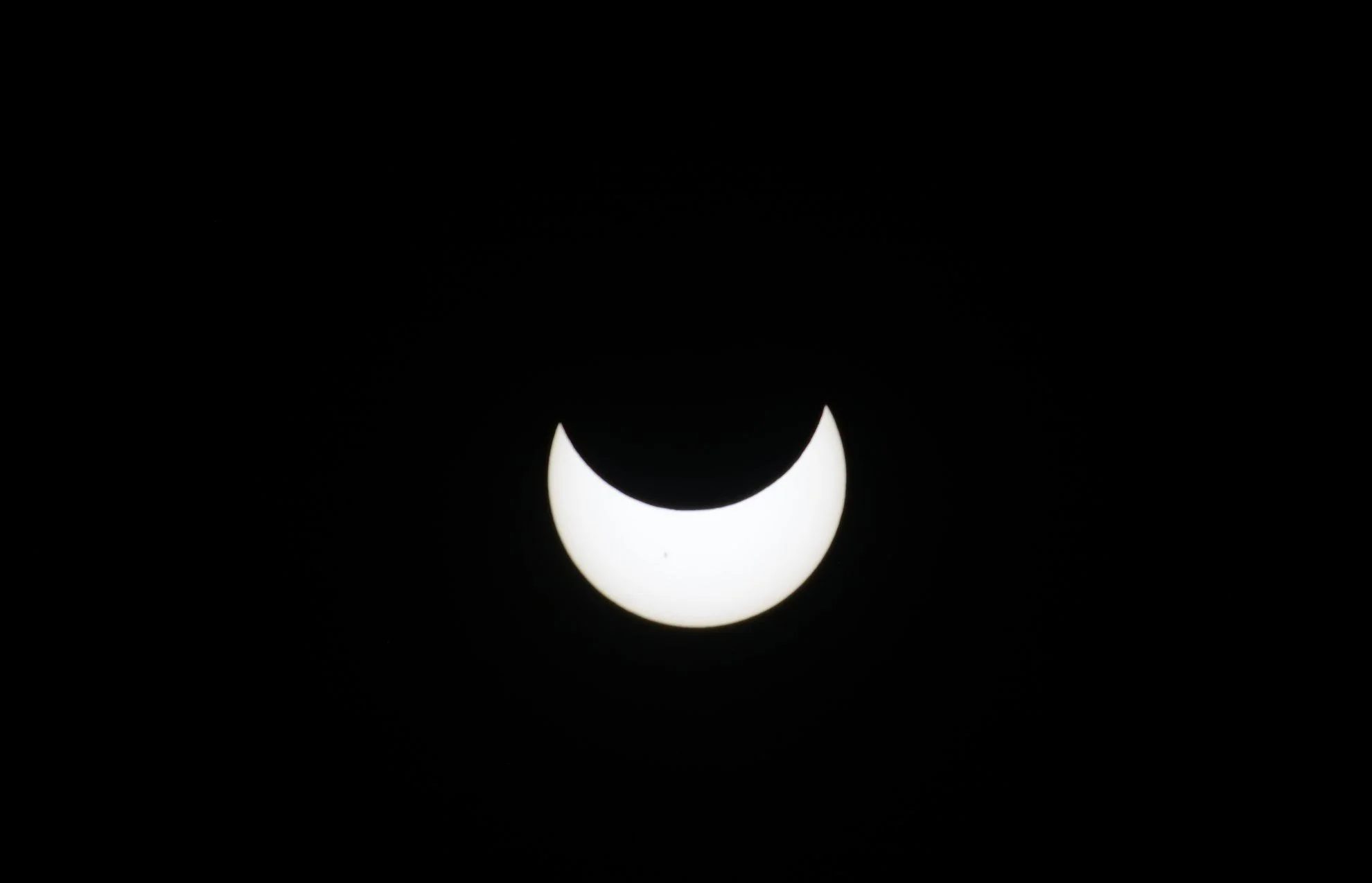 DSC_0224 - Copy.webp