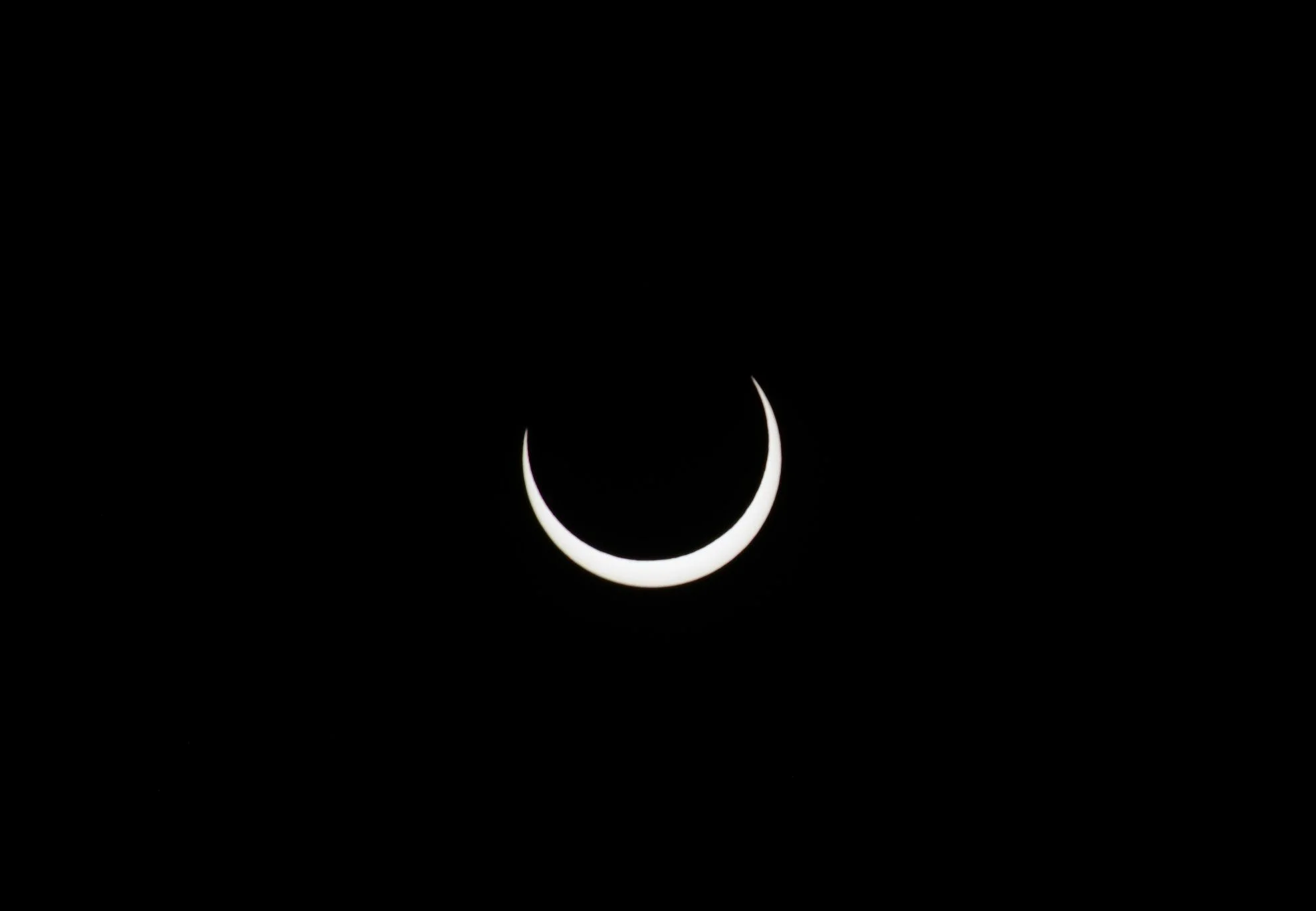 DSC_0251.webp