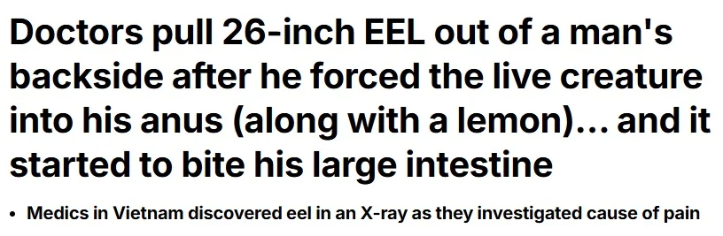 eel regret that.webp
