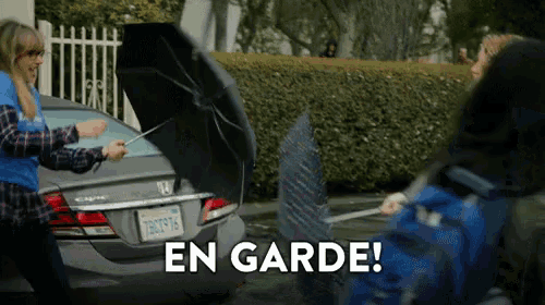 en garde.gif