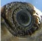eye-png.99893