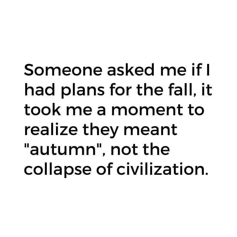 fall.webp