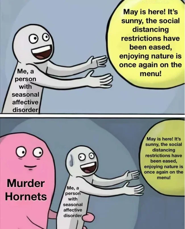 feeling hornet.webp