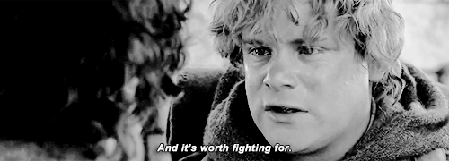 fighting.gif