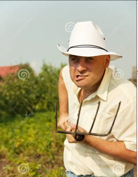 fork off.webp