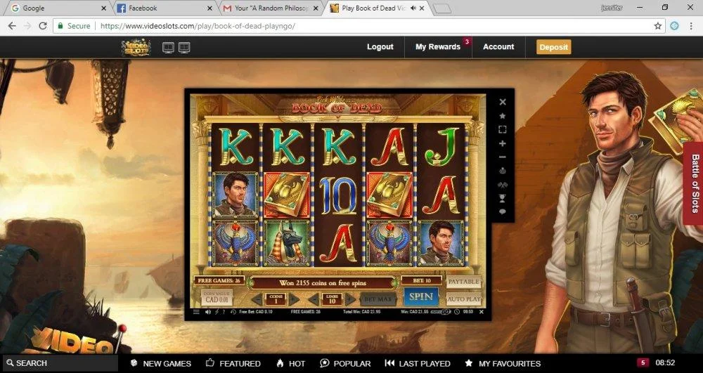 Free spins win.webp