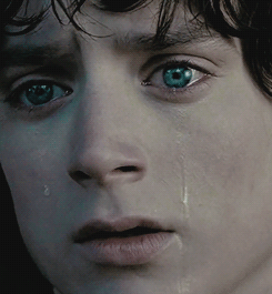 frodo cry.gif