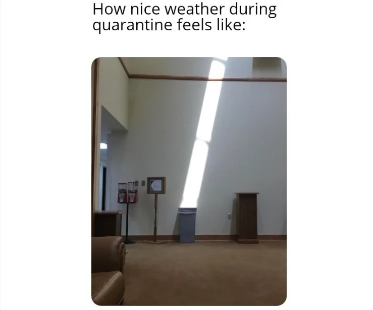 fun sun.webp