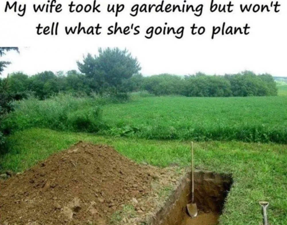 garden.webp