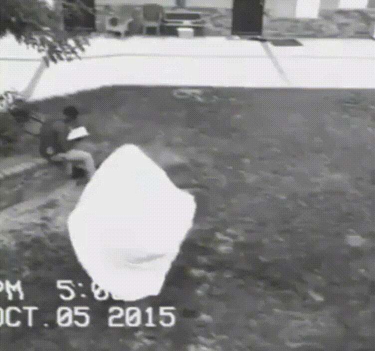 ghost.gif