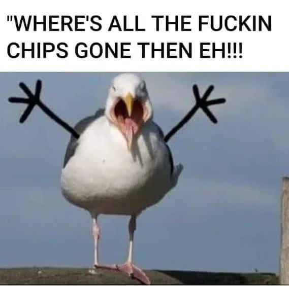 gull.webp