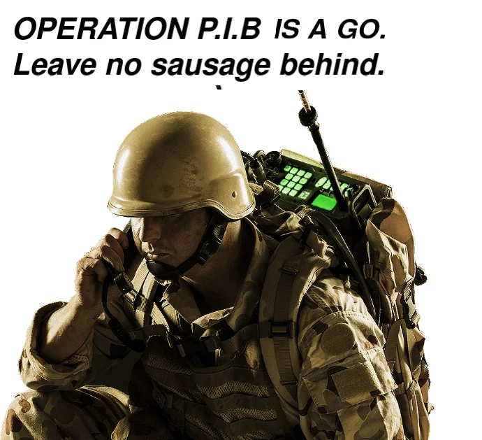 hf.webp