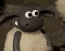 hh.gif