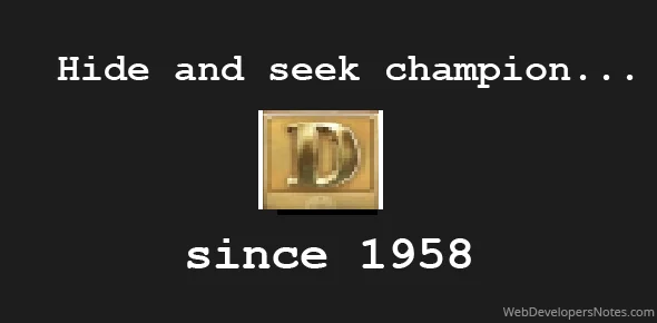 Hide and seek.webp