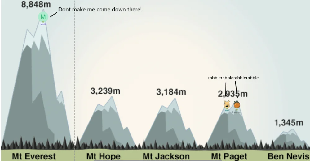 highest.webp
