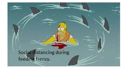 Homer 4 (2).webp