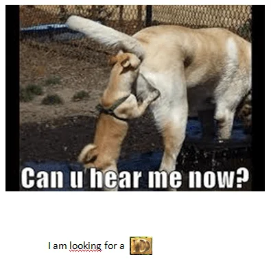 Hund m d.webp