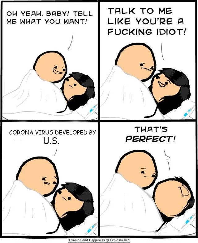 idiot4.webp