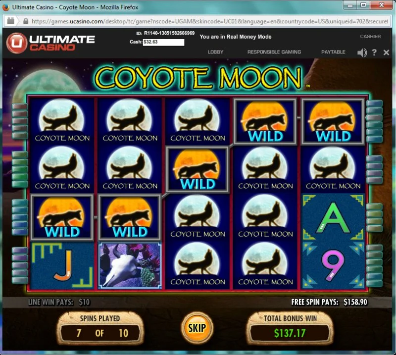Image4.webp